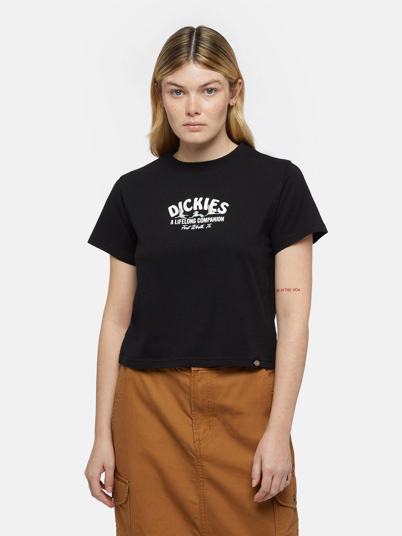 Футболки и поло Dickies Companion модель DK0A863KBLK1 Футболки и поло Dickies Companion модель DK0A863KBLK1 Фото