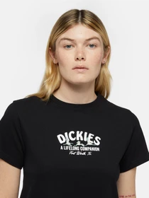 Футболки и поло Dickies Companion модель DK0A863KBLK1 Фото