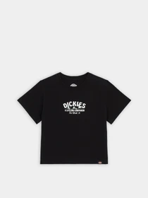 Футболки и поло Dickies Companion модель DK0A863KBLK1 Фото