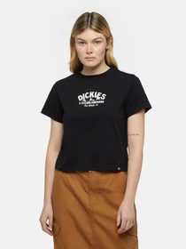 Футболки и поло Dickies Companion модель DK0A863KBLK1 Фото