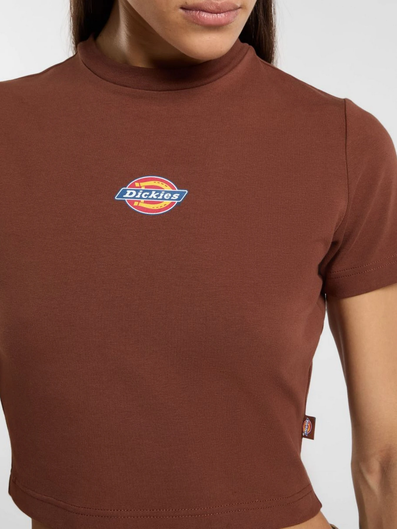 Футболки і поло Dickies Maple Valley модель DK0A4XPOK471 Футболки і поло Dickies Maple Valley модель DK0A4XPOK471 Фото