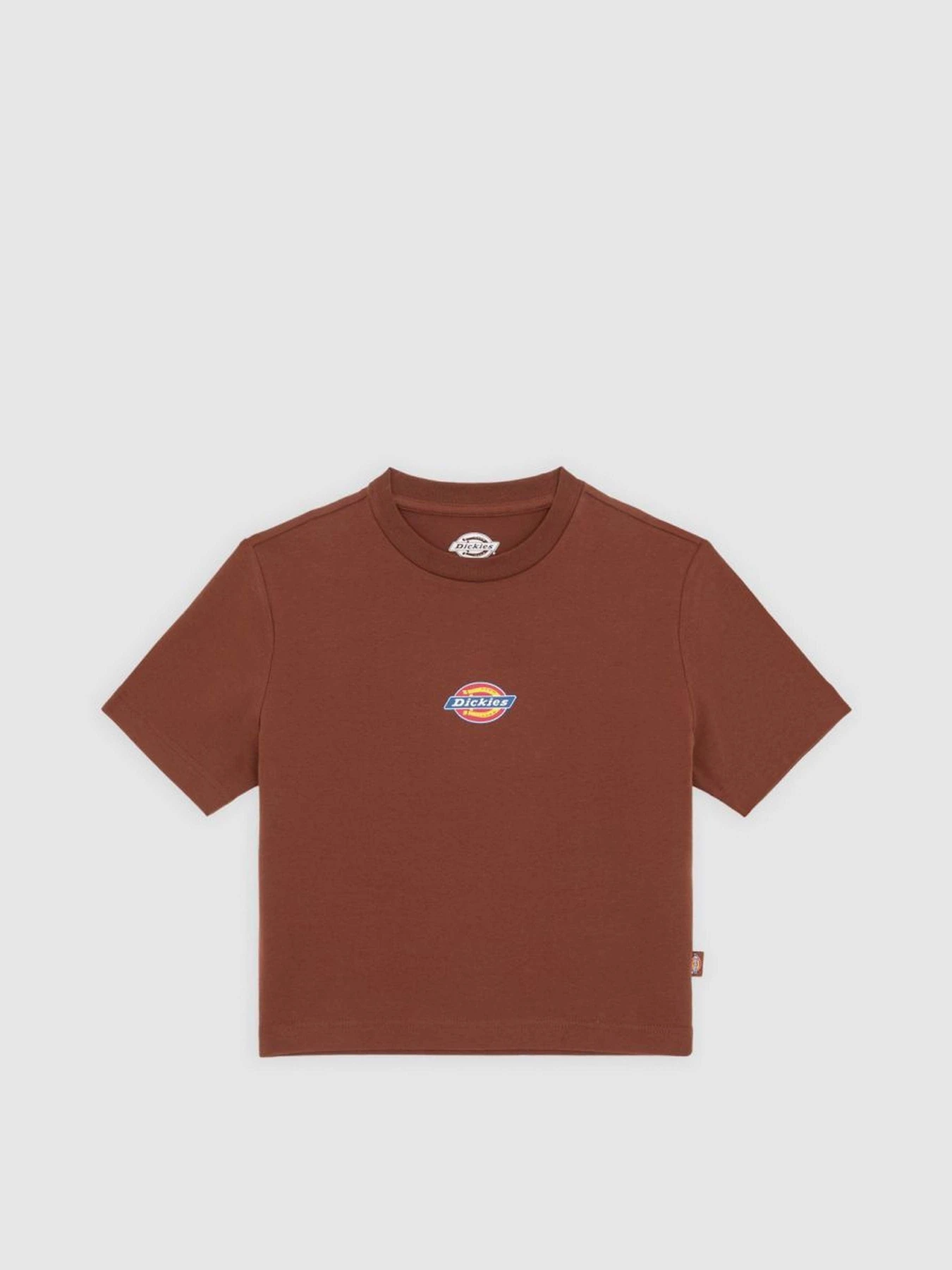 Футболки і поло Dickies Maple Valley модель DK0A4XPOK471 Футболки і поло Dickies Maple Valley модель DK0A4XPOK471 Фото