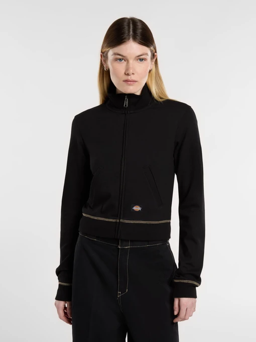 Худі та світшоти Dickies Funnel Neckl Fz модель DK0A4Z71BLK1 Фото