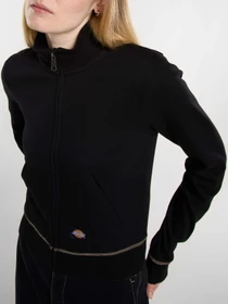Худи и свитшоты Dickies Funnel Neckl Fz модель DK0A4Z71BLK1 Фото