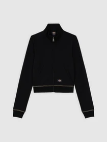 Худи и свитшоты Dickies Funnel Neckl Fz модель DK0A4Z71BLK1 Фото