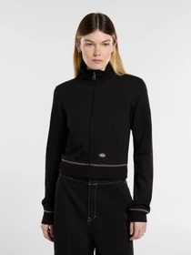 Худи и свитшоты Dickies Funnel Neckl Fz модель DK0A4Z71BLK1 Фото