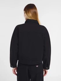 Куртки и дубленки Dickies New Canvas модель DK0A4Z77C401 Фото