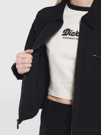 Куртки и дубленки Dickies New Canvas модель DK0A4Z77C401 Фото