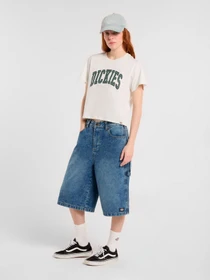Шорти Dickies Carpenter модель DK0A4Z85K211 Фото