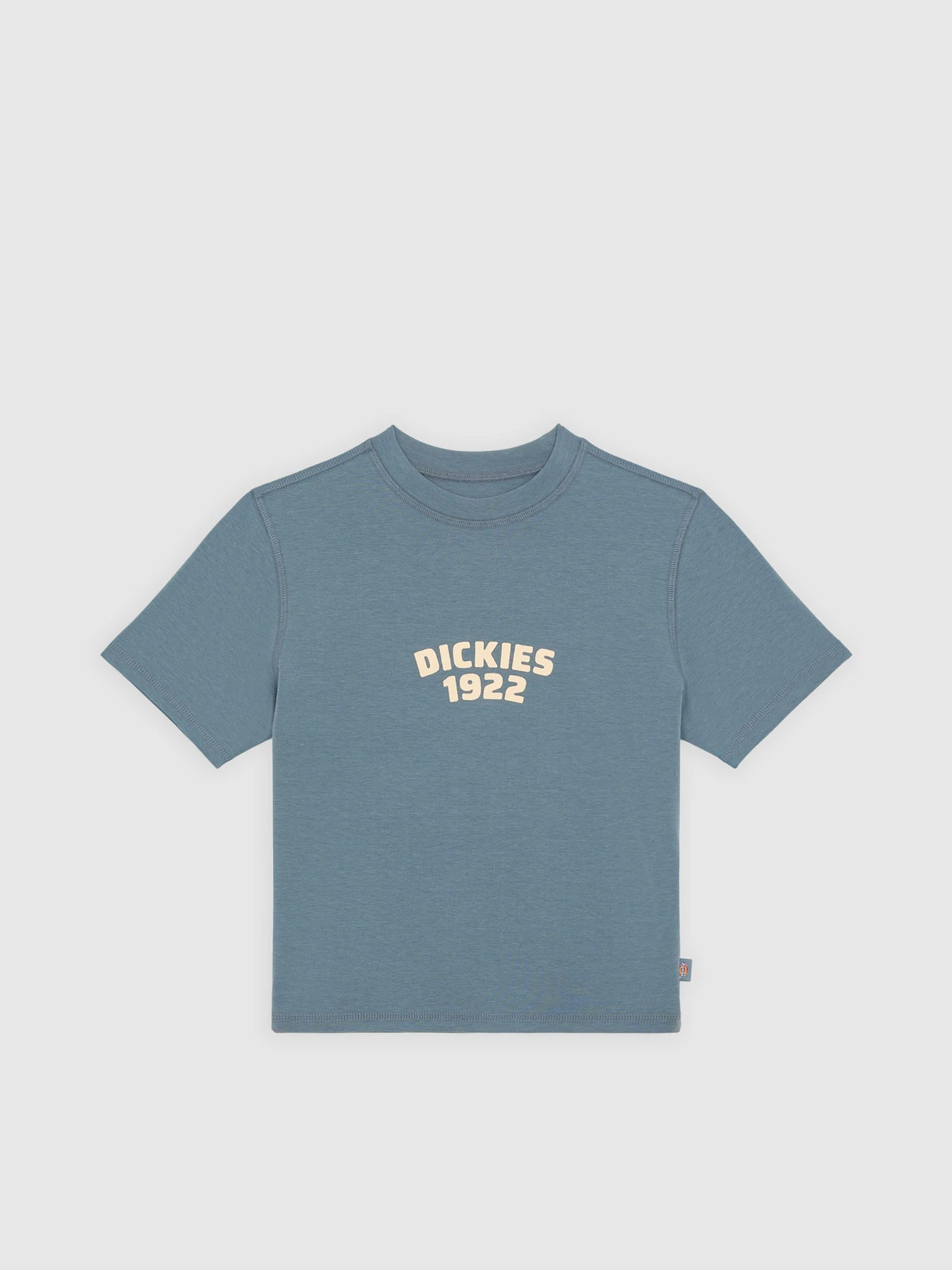 Футболки и поло Dickies Center Logo модель DK0A4Z8FG701 Фото