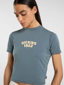 Футболки и поло Dickies Center Logo модель DK0A4Z8FG701 Фото
