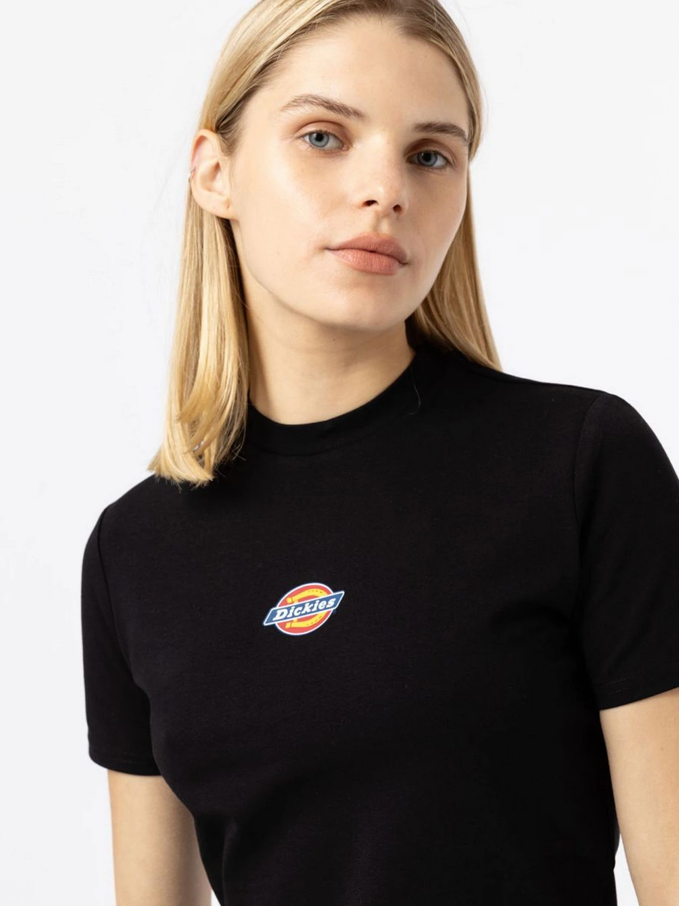 Футболки и поло Dickies Maple Valley модель DK0A4XPOBLK1 Футболки и поло Dickies Maple Valley модель DK0A4XPOBLK1 Фото