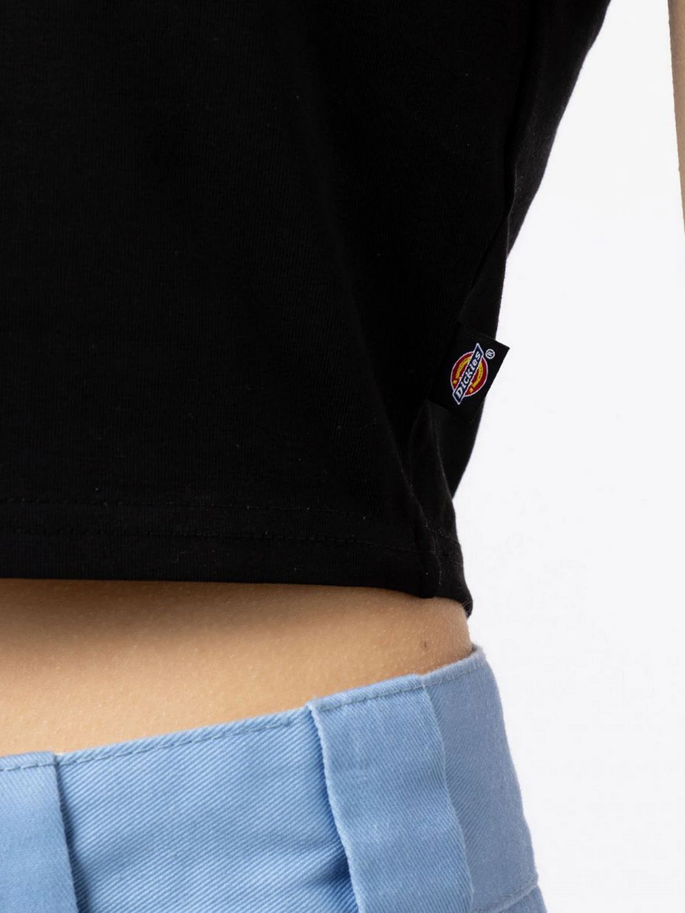 Футболки и поло Dickies Maple Valley модель DK0A4XPOBLK1 Футболки и поло Dickies Maple Valley модель DK0A4XPOBLK1 Фото