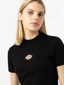 Футболки и поло Dickies Maple Valley модель DK0A4XPOBLK1 Фото