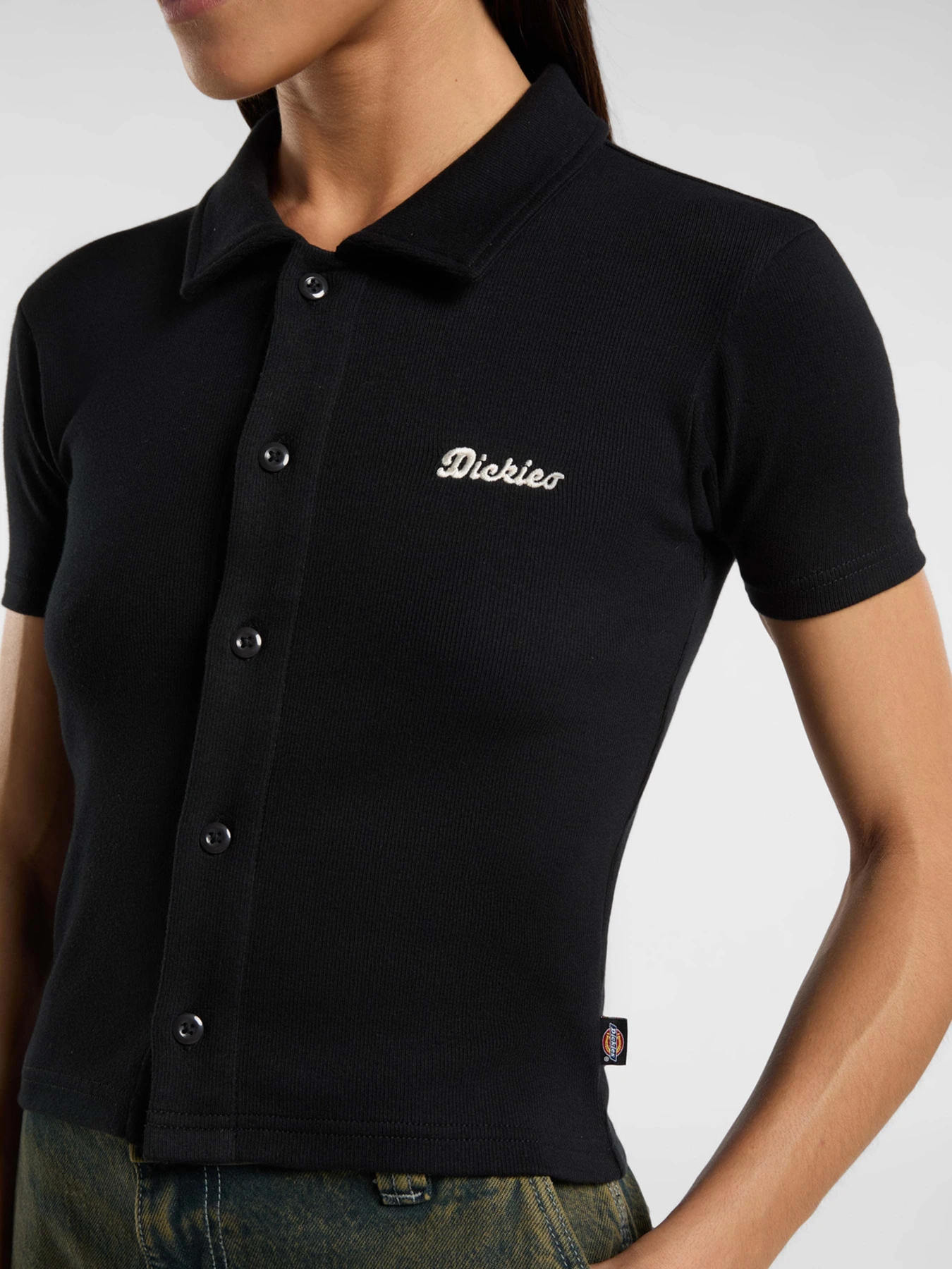 Футболки и поло Dickies Tallasse Bt модель DK0A4Z8HBLK1 Фото