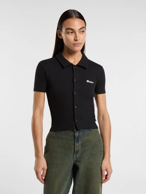 Футболки і поло Dickies Tallasse Bt модель DK0A4Z8HBLK1 Фото