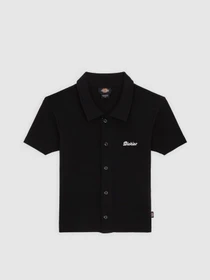 Футболки и поло Dickies Tallasse Bt модель DK0A4Z8HBLK1 Фото