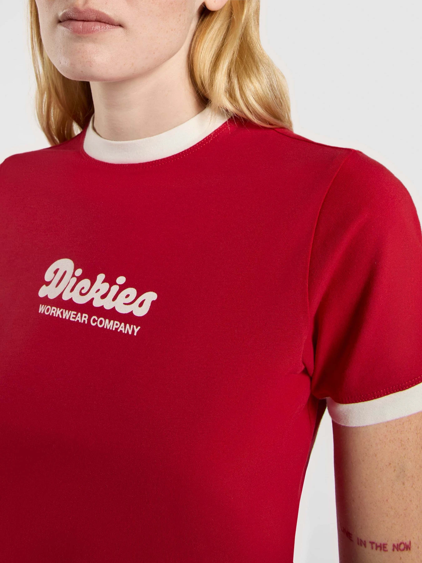 Футболки і поло Dickies Lewistown Ringer модель DK0A4Z8I0ER1 Футболки і поло Dickies Lewistown Ringer модель DK0A4Z8I0ER1 Фото