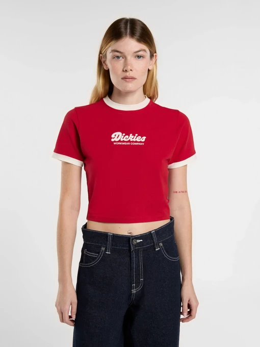 Футболки и поло Dickies Lewistown Ringer модель DK0A4Z8I0ER1 Фото