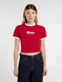 Футболки и поло Dickies Lewistown Ringer модель DK0A4Z8I0ER1 Фото