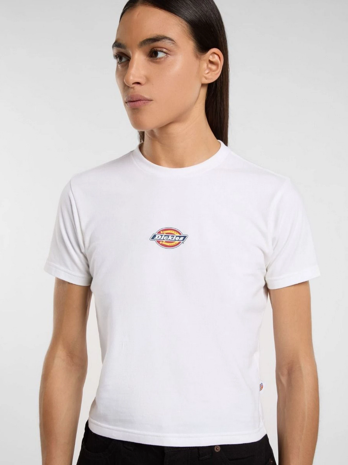 Футболки і поло Dickies Maple Valley модель DK0A4ZAO0WH1 Футболки і поло Dickies Maple Valley модель DK0A4ZAO0WH1 Фото