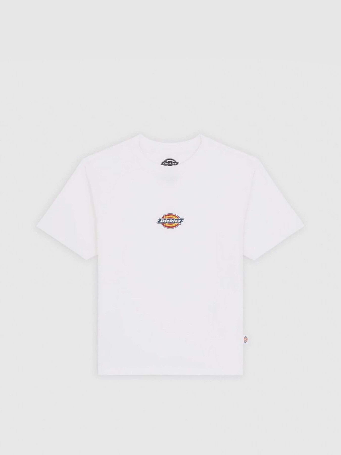 Футболки і поло Dickies Maple Valley модель DK0A4ZAO0WH1 Футболки і поло Dickies Maple Valley модель DK0A4ZAO0WH1 Фото