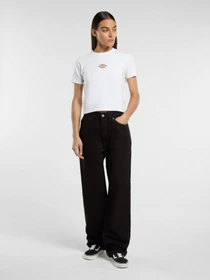 Футболки і поло Dickies Maple Valley модель DK0A4ZAO0WH1 Фото