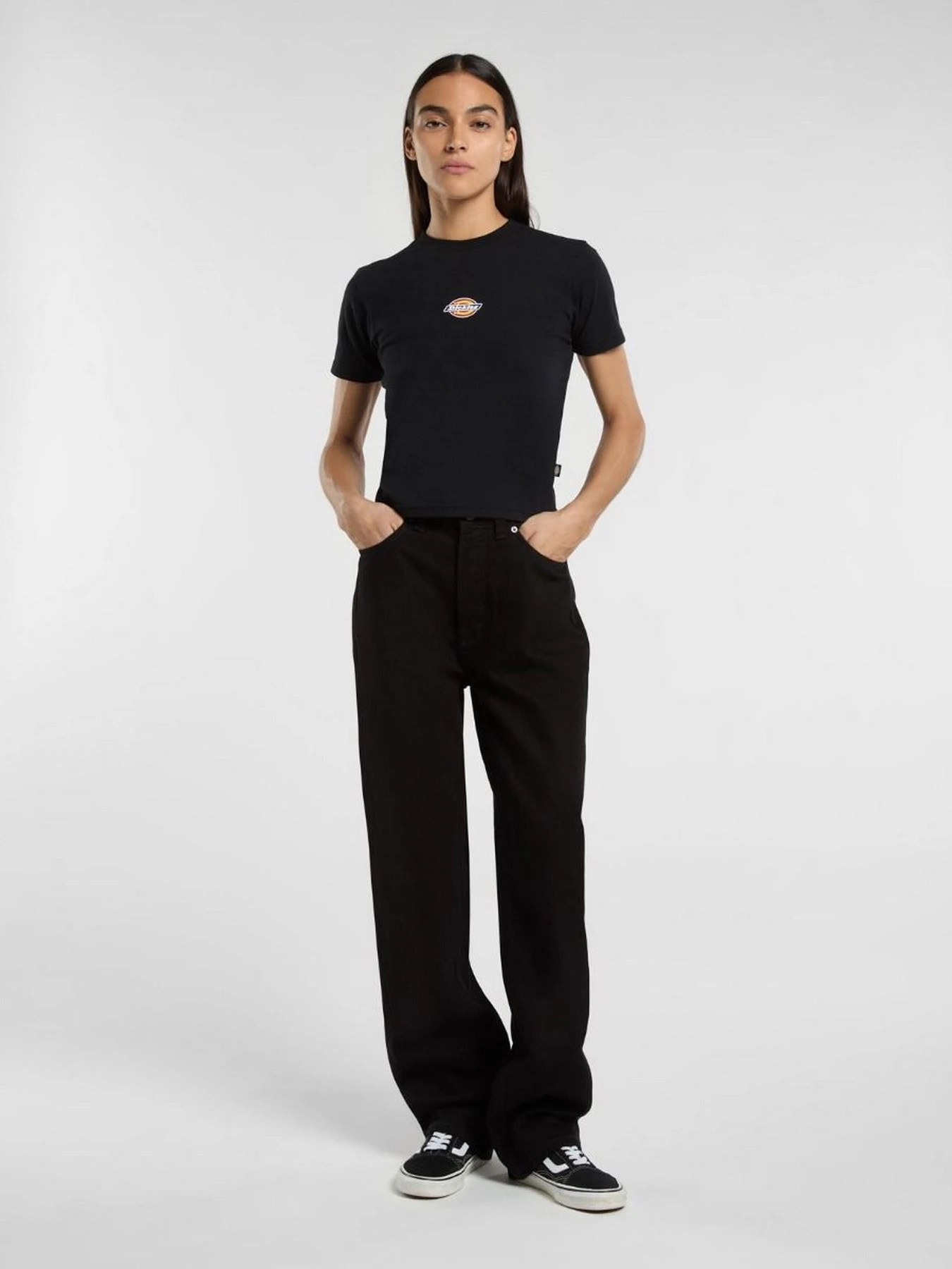 Футболки і поло Dickies Maple Valley модель DK0A4ZAOBLK1 Футболки і поло Dickies Maple Valley модель DK0A4ZAOBLK1 Фото