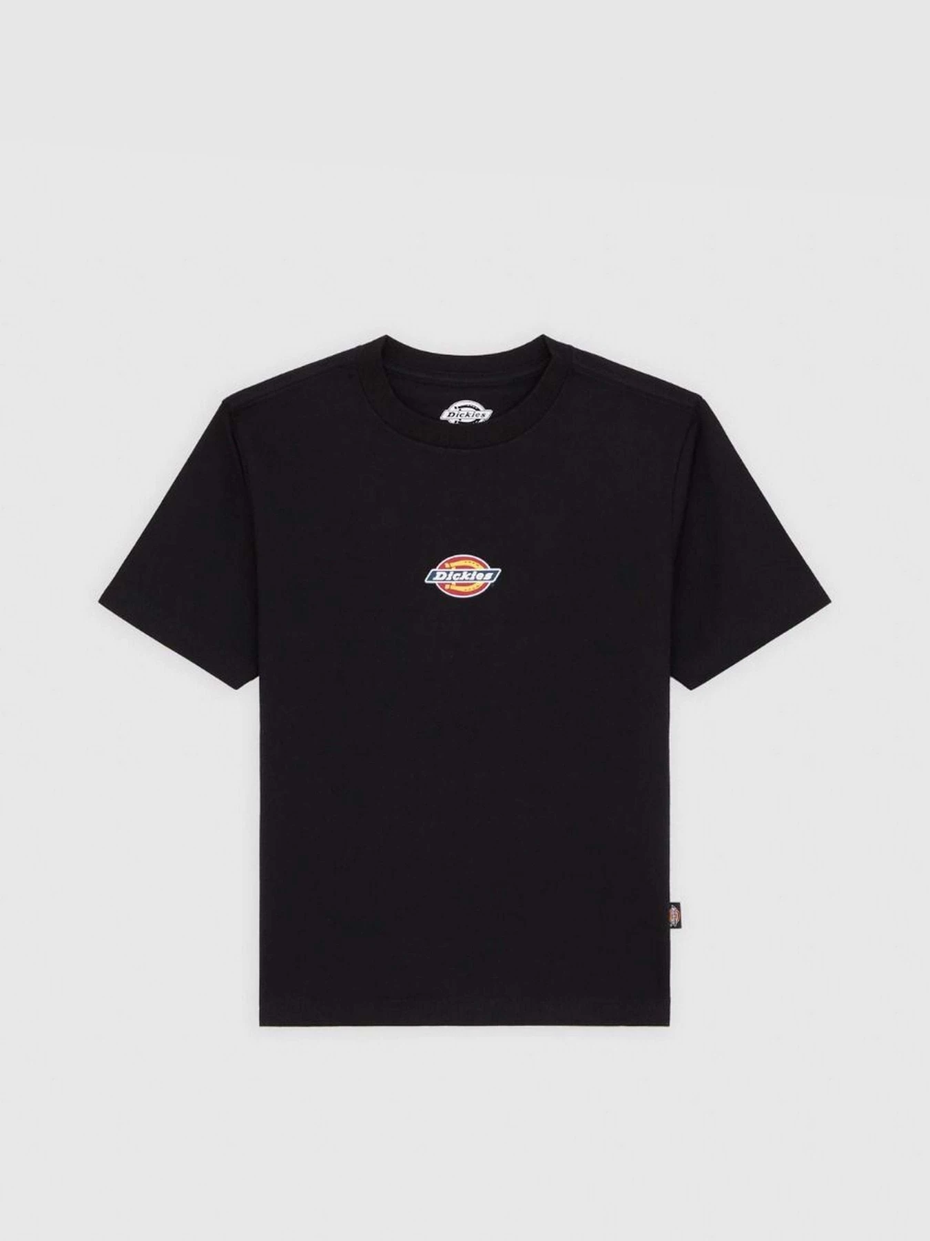 Футболки і поло Dickies Maple Valley модель DK0A4ZAOBLK1 Футболки і поло Dickies Maple Valley модель DK0A4ZAOBLK1 Фото