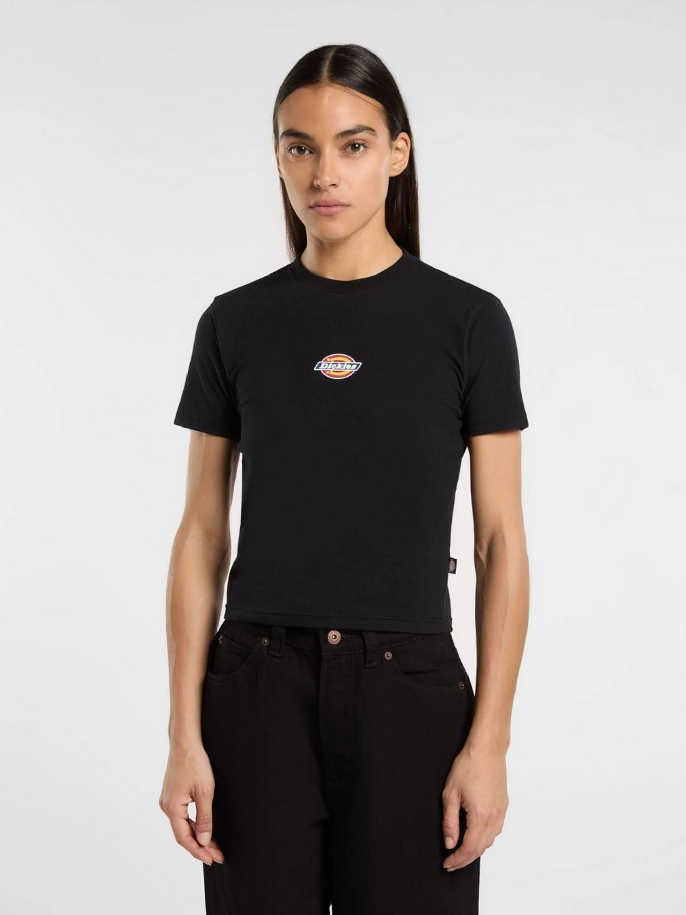 Футболки і поло Dickies Maple Valley модель DK0A4ZAOBLK1 Футболки і поло Dickies Maple Valley модель DK0A4ZAOBLK1 Фото