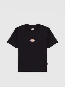 Футболки і поло Dickies Maple Valley модель DK0A4ZAOBLK1 Фото