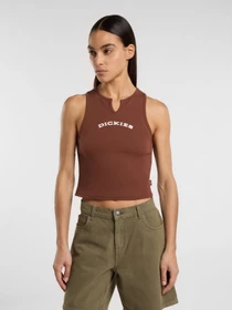 Футболки і поло Dickies Donna модель DK0A8677K471 Фото