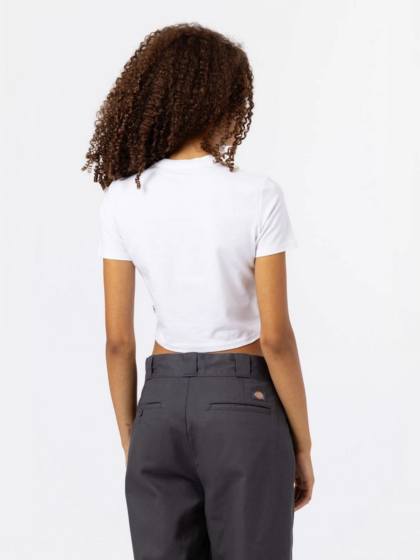 Футболки і поло Dickies Maple Valley модель DK0A4XPOWHX1 Футболки і поло Dickies Maple Valley модель DK0A4XPOWHX1 Фото