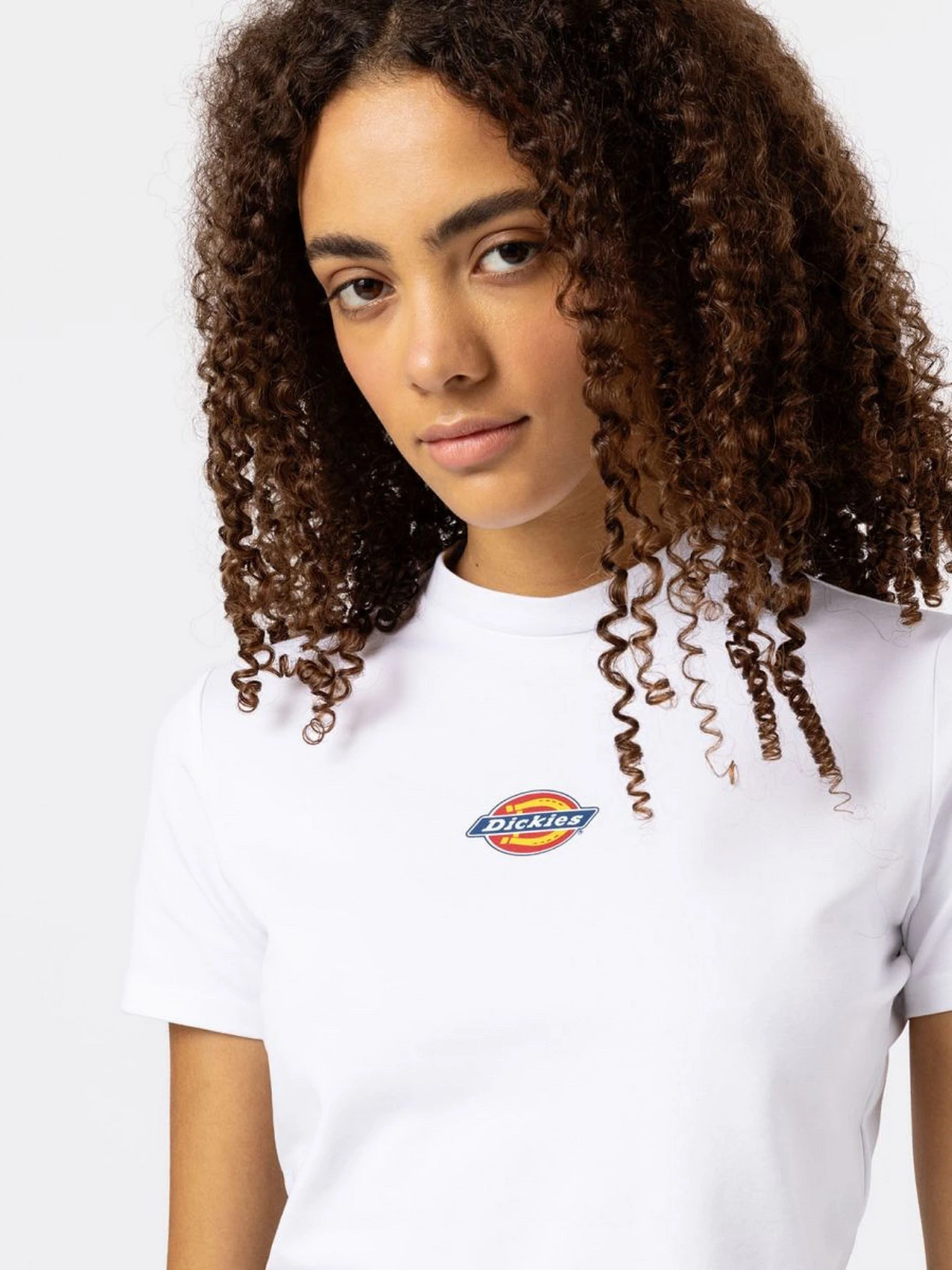 Футболки і поло Dickies Maple Valley модель DK0A4XPOWHX1 Футболки і поло Dickies Maple Valley модель DK0A4XPOWHX1 Фото