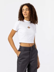 Футболки і поло Dickies Maple Valley модель DK0A4XPOWHX1 Фото