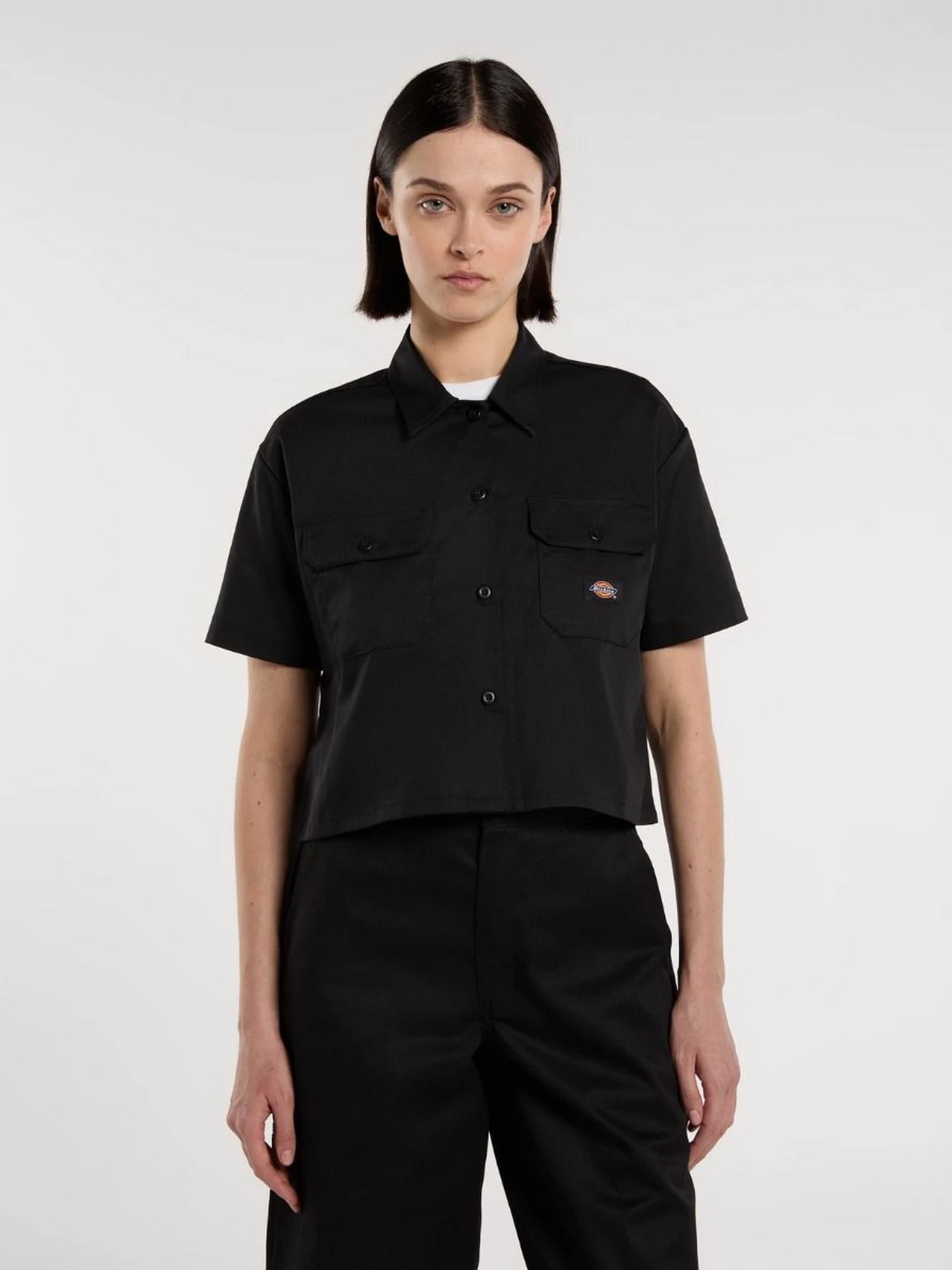 Рубашки Dickies Chain Lake модель DKDFS573BLK1 Фото