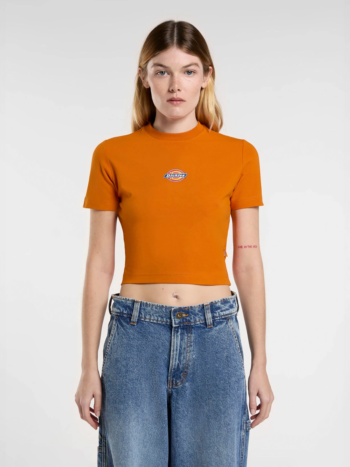 Футболки и поло Dickies Maple Valley модель DK0A4XPOK641 Фото
