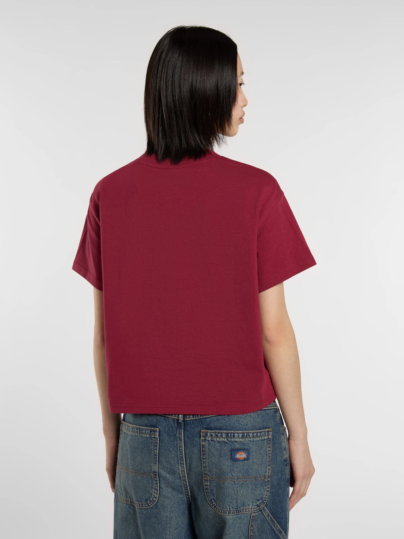 Футболки і поло Dickies Oakport модель DK0A4Y8LK741 Фото