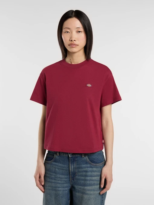 Футболки і поло Dickies Oakport модель DK0A4Y8LK741 Фото