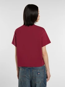 Футболки і поло Dickies Oakport модель DK0A4Y8LK741 Фото