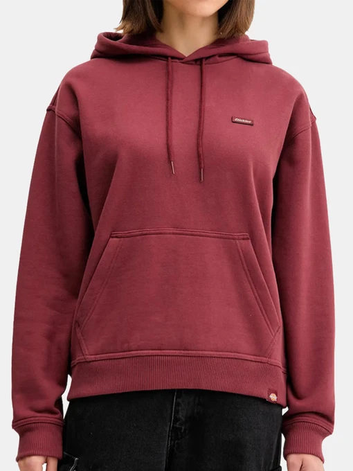 Худи и свитшоты Dickies Clancy модель DK0A4Z2WL161 Фото