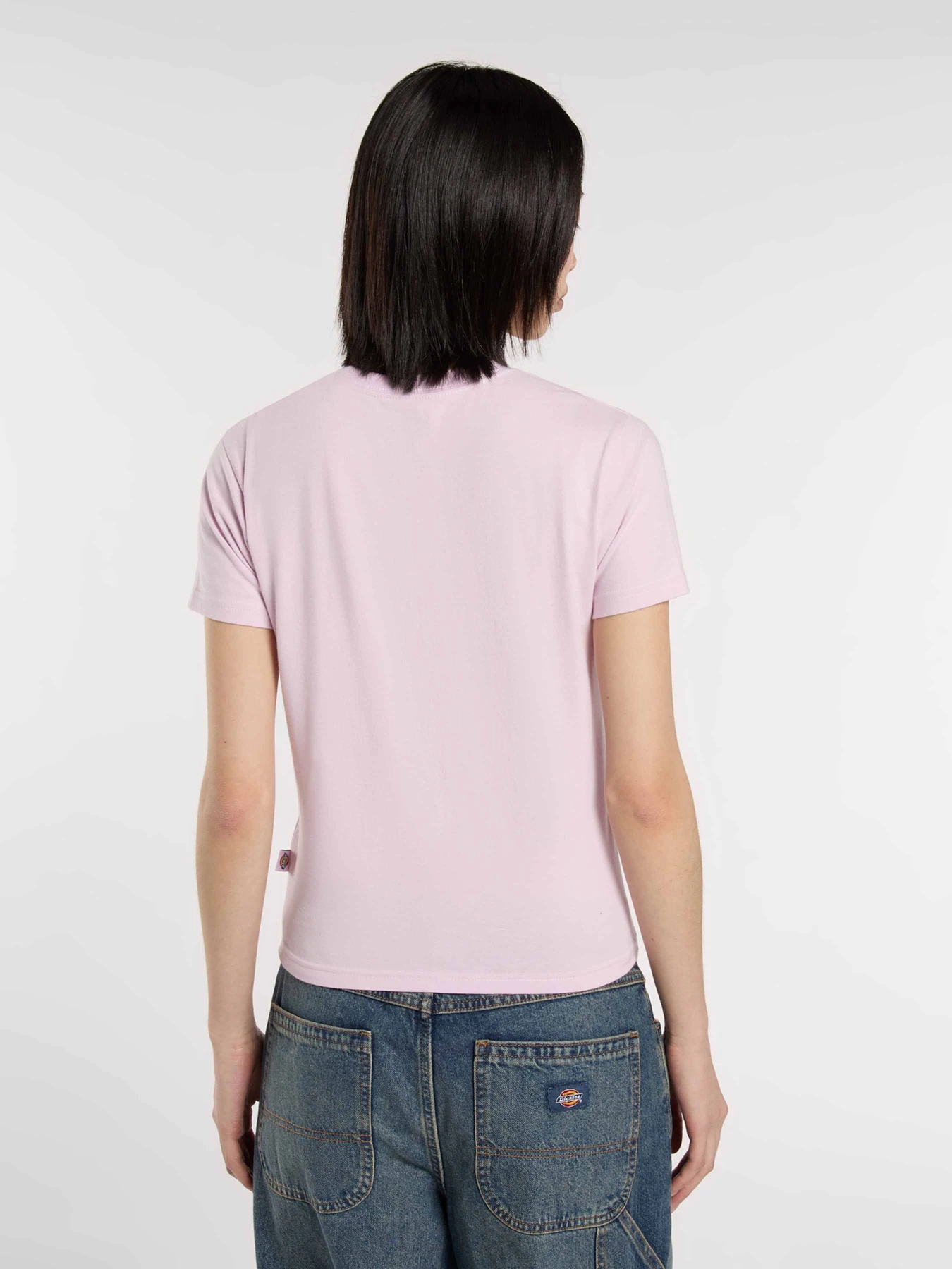 Футболки и поло Dickies Maple Valley Reg модель DK0A4ZAOK731 Футболки и поло Dickies Maple Valley Reg модель DK0A4ZAOK731 Фото