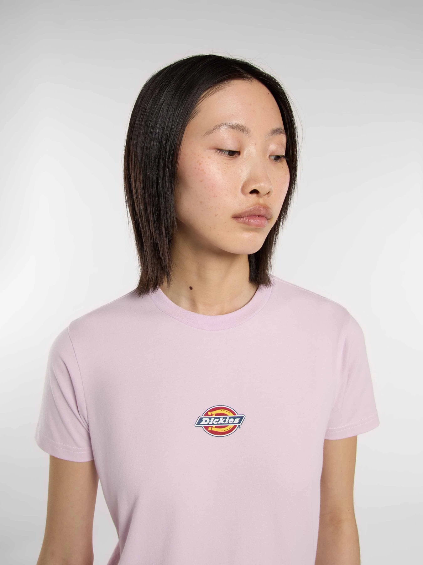 Футболки и поло Dickies Maple Valley Reg модель DK0A4ZAOK731 Футболки и поло Dickies Maple Valley Reg модель DK0A4ZAOK731 Фото