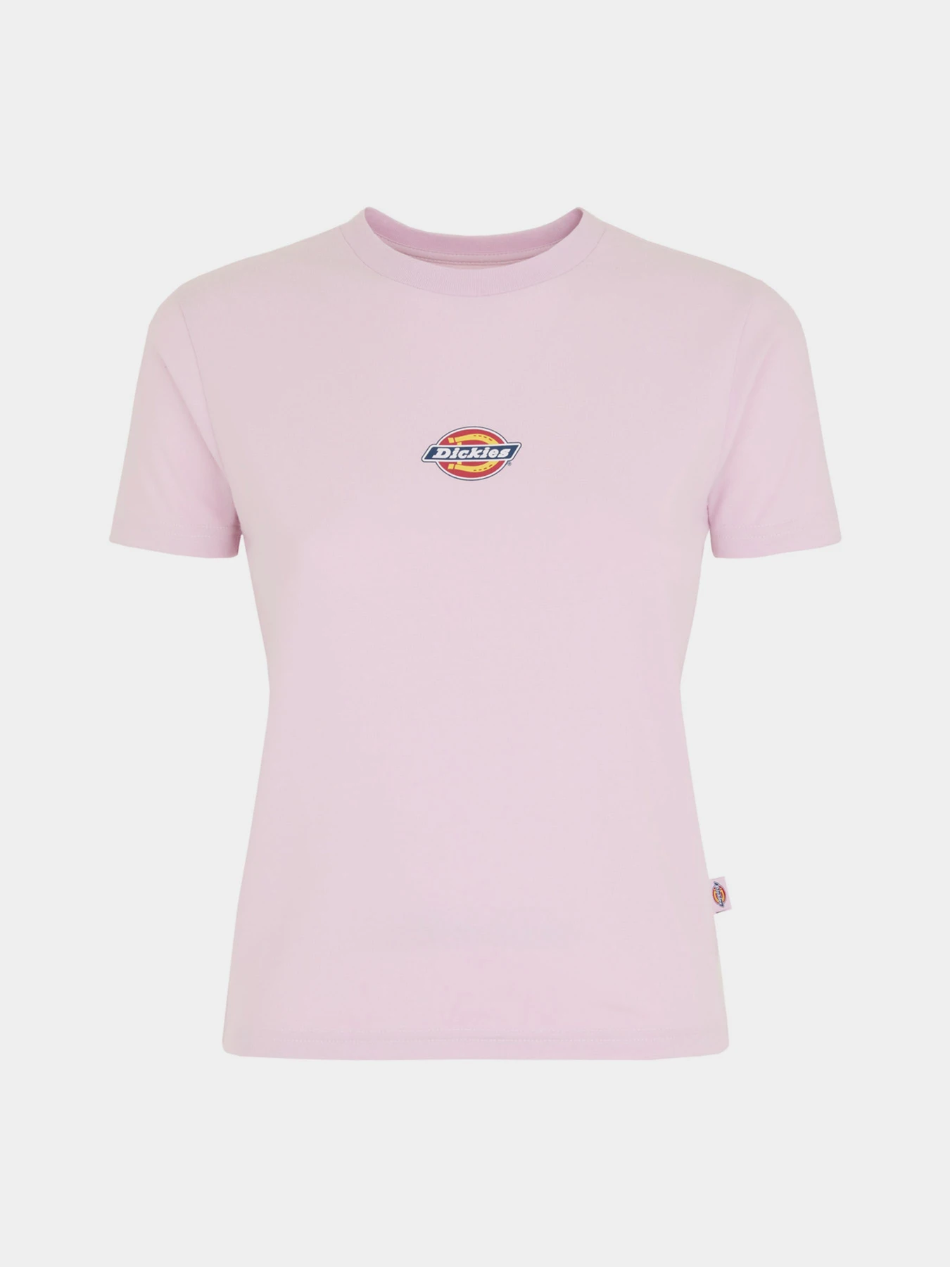 Футболки и поло Dickies Maple Valley Reg модель DK0A4ZAOK731 Футболки и поло Dickies Maple Valley Reg модель DK0A4ZAOK731 Фото