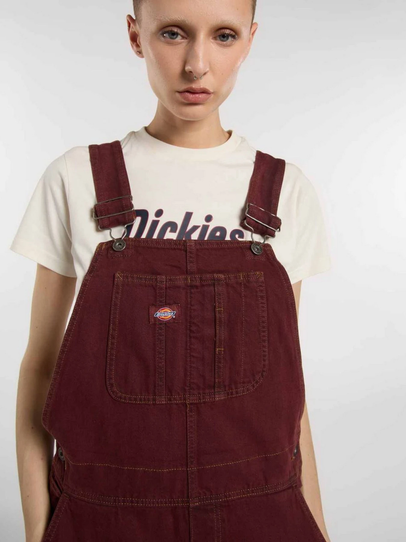 Комбінезони Dickies LOOSE CANVAS BIB модель DK0A87N8L161 Комбінезони Dickies LOOSE CANVAS BIB модель DK0A87N8L161 Фото