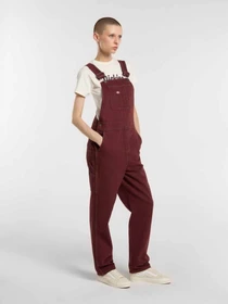 Комбінезони Dickies LOOSE CANVAS BIB модель DK0A87N8L161 Фото