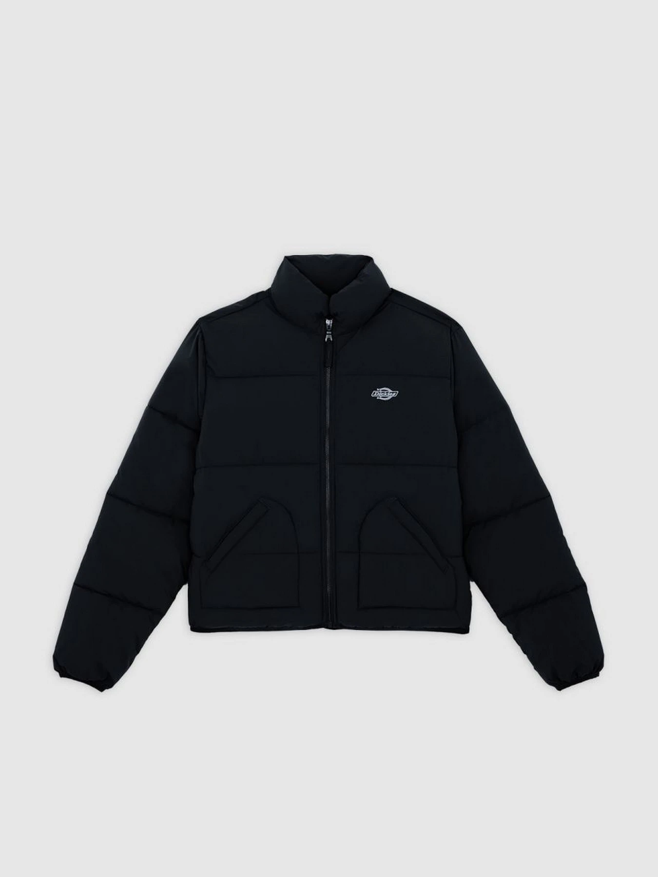 Куртки и дубленки Dickies SUMMERDALE PUFFER модель DK0A87OJBLK1 Куртки и дубленки Dickies SUMMERDALE PUFFER модель DK0A87OJBLK1 Фото
