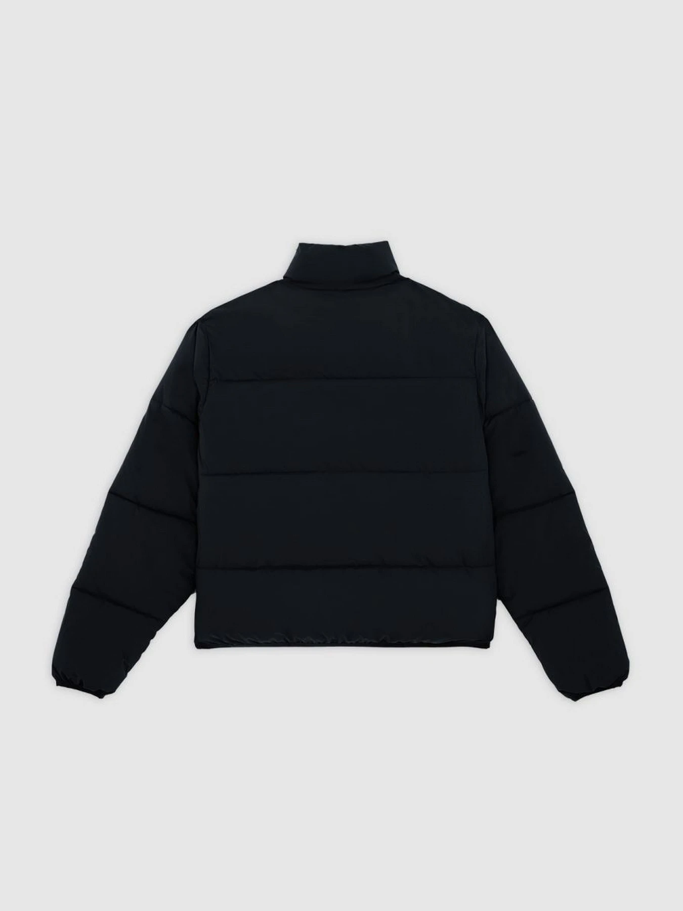 Куртки и дубленки Dickies SUMMERDALE PUFFER модель DK0A87OJBLK1 Куртки и дубленки Dickies SUMMERDALE PUFFER модель DK0A87OJBLK1 Фото