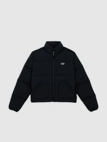 Куртки и дубленки Dickies SUMMERDALE PUFFER модель DK0A87OJBLK1 Фото