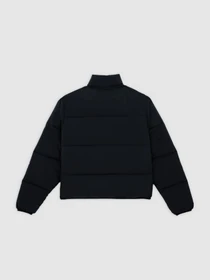 Куртки и дубленки Dickies SUMMERDALE PUFFER модель DK0A87OJBLK1 Фото